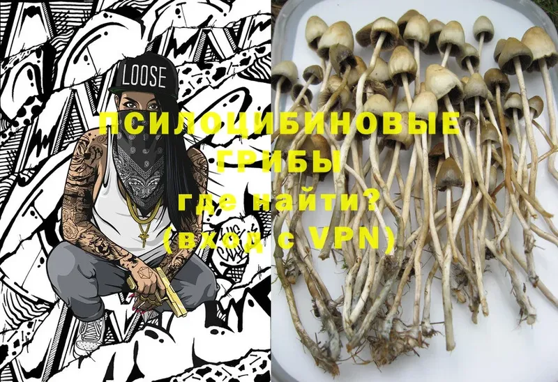 MEGA сайт  Беломорск  Галлюциногенные грибы Psilocybine cubensis  наркота 